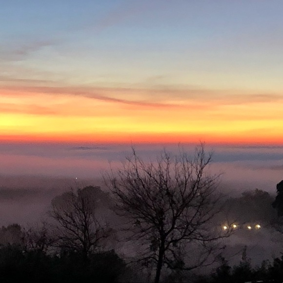 Meet your Posher, Hannah - Picture 1 of 1